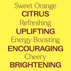 Organic Sweet Orange Essential Oil 100 mL