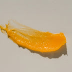 Wild Beauty Repair Balm