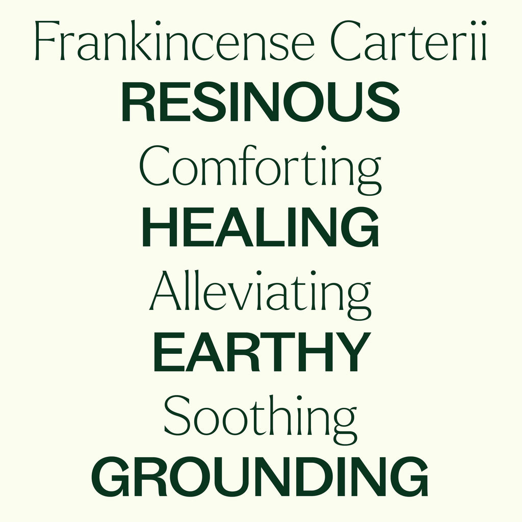 Frankincense Carterii Essential Oil 30 mL