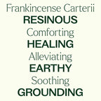 Frankincense Carterii Essential Oil 30 mL