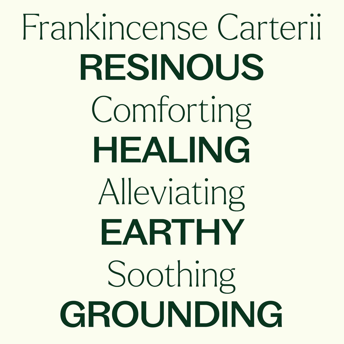 Frankincense Carterii Essential Oil 30 mL