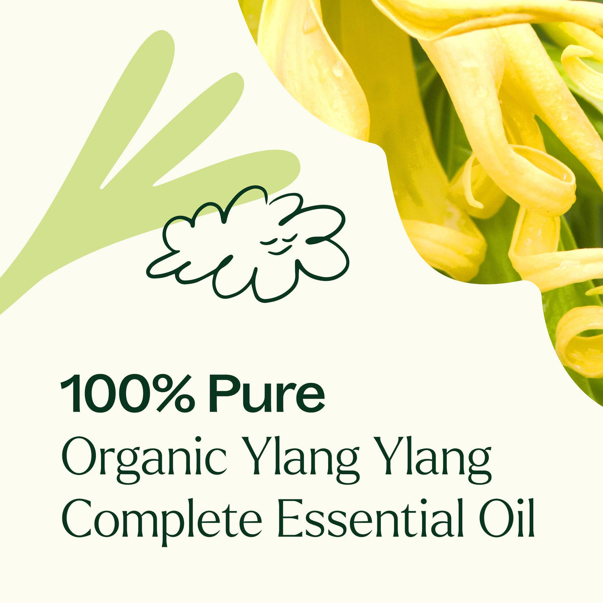 Organic Ylang Ylang Complete Essential Oil 10 mL
