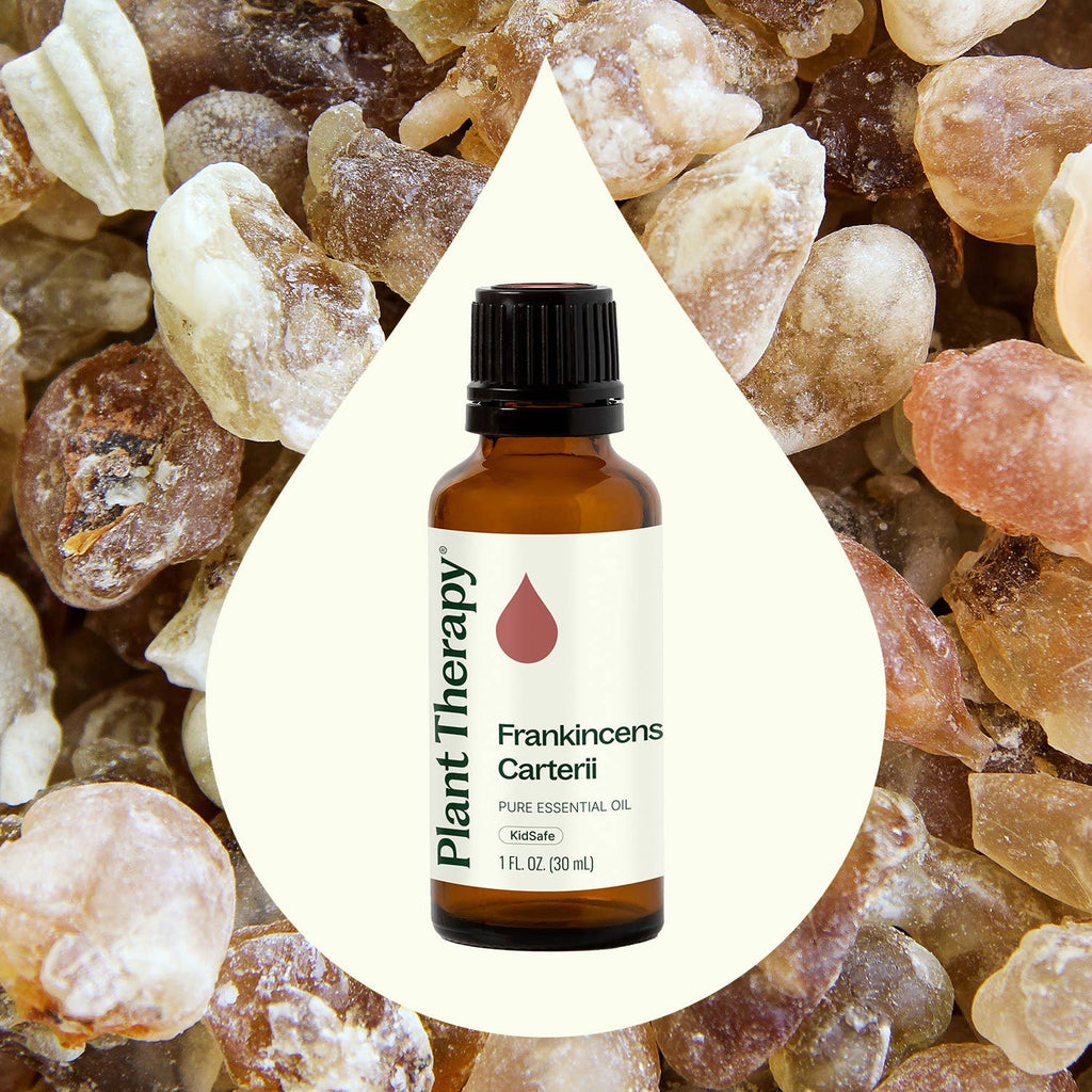 Frankincense Carterii Essential Oil 30 mL