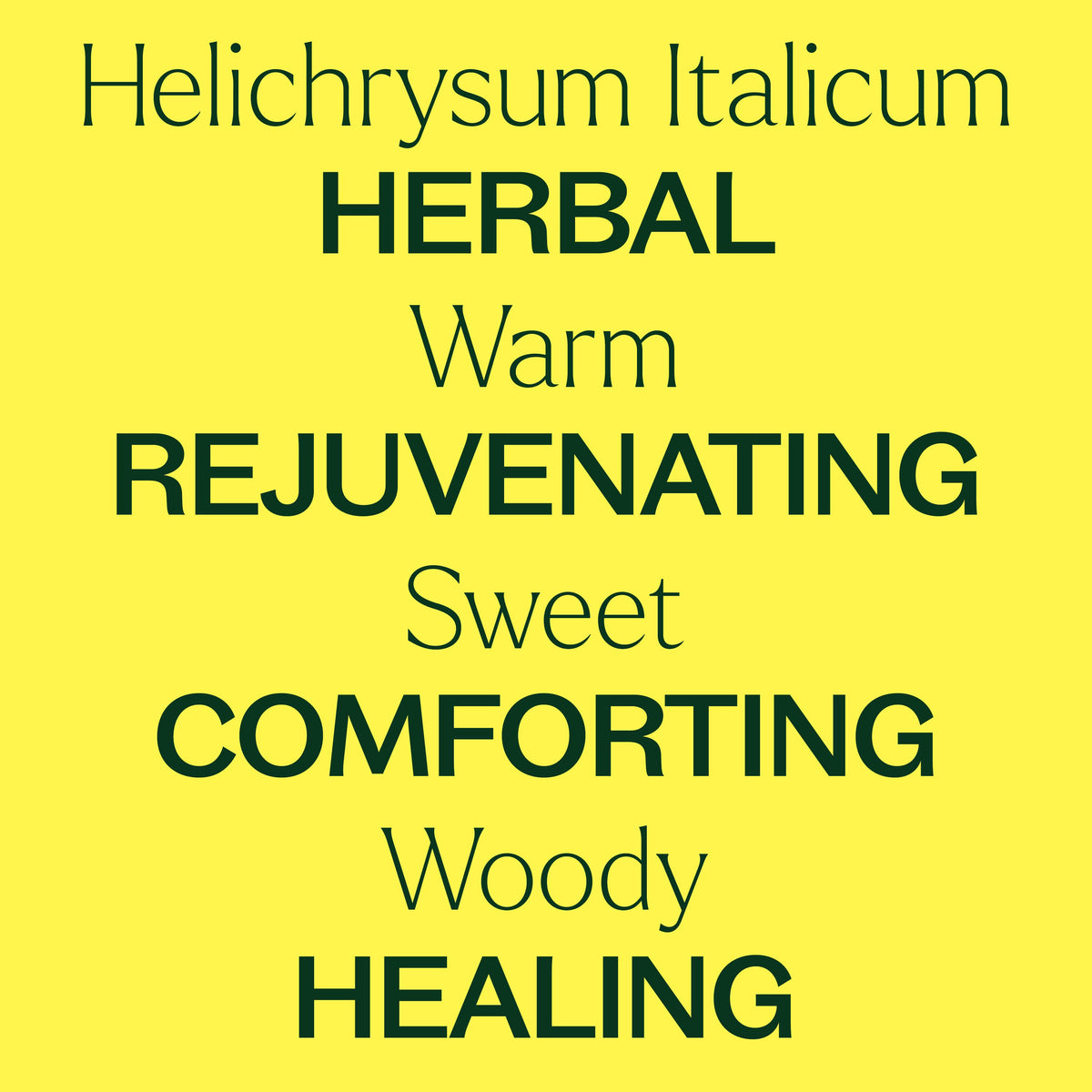 Organic Helichrysum Italicum Essential Oil 5 mL