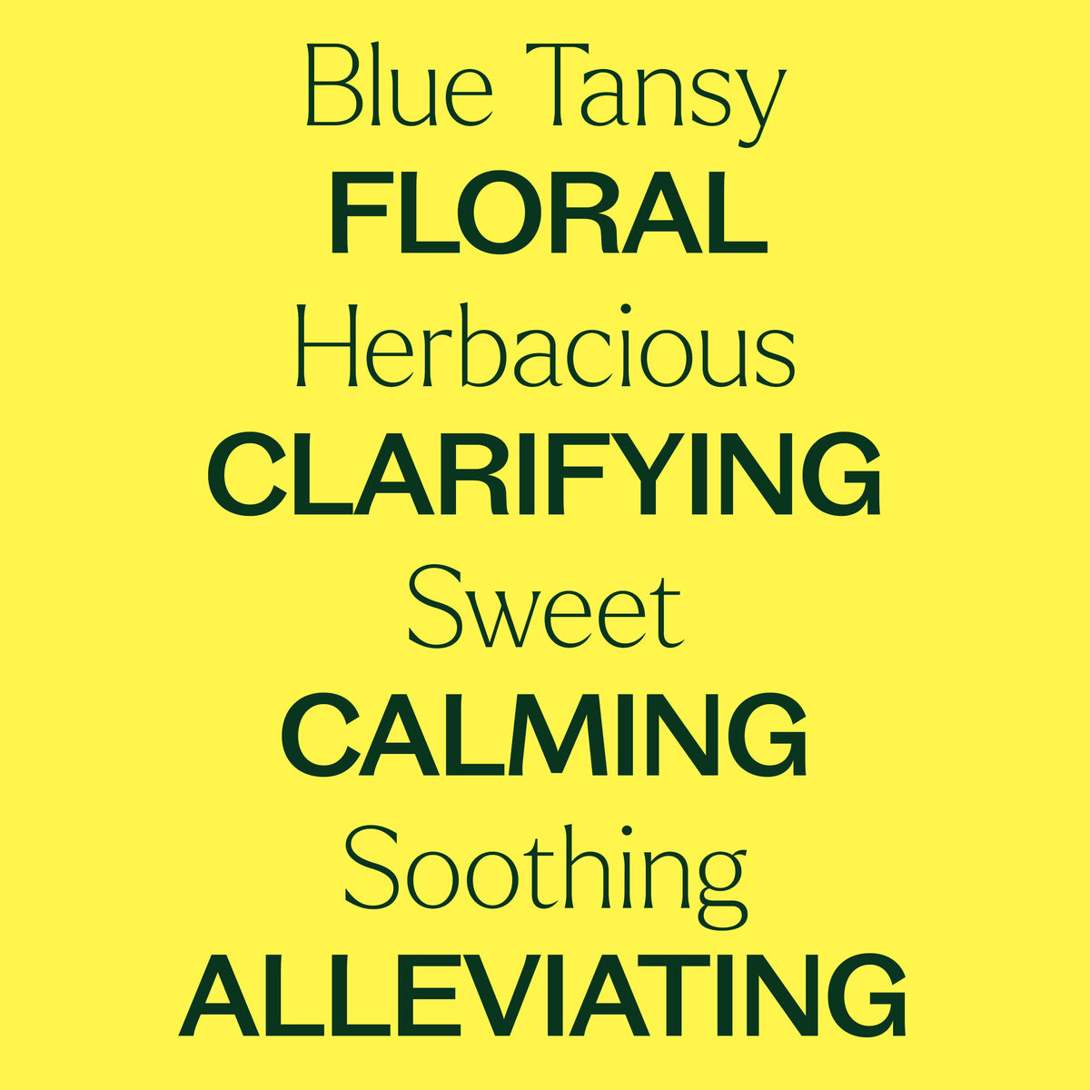 Blue Tansy Essential Oil 10 mL