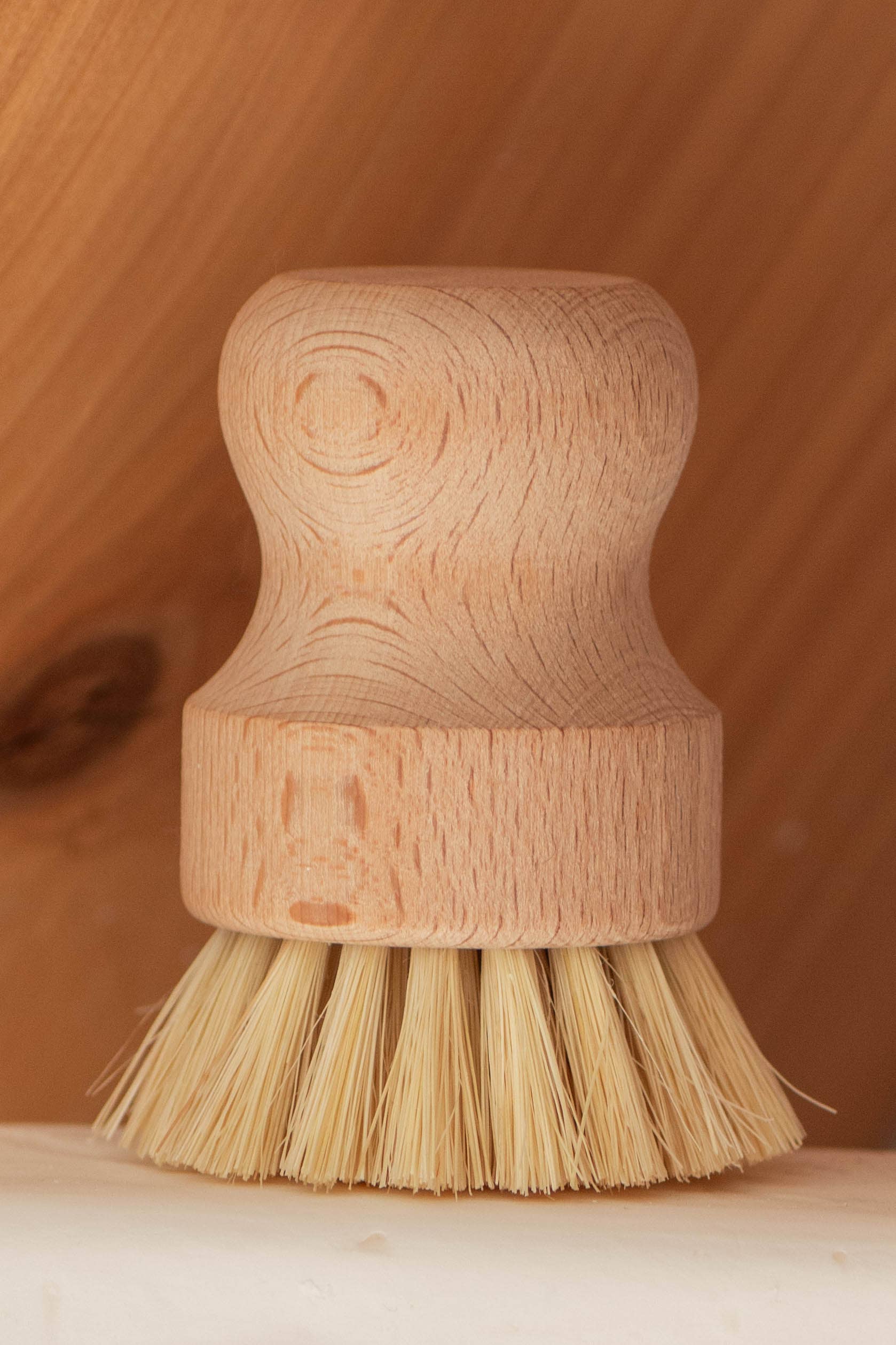CASA AGAVE® Dish Brush White Teakwood - No Tox Life