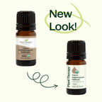 Organic Helichrysum Italicum Essential Oil 5 mL