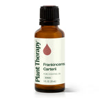 Frankincense Carterii Essential Oil 30 mL