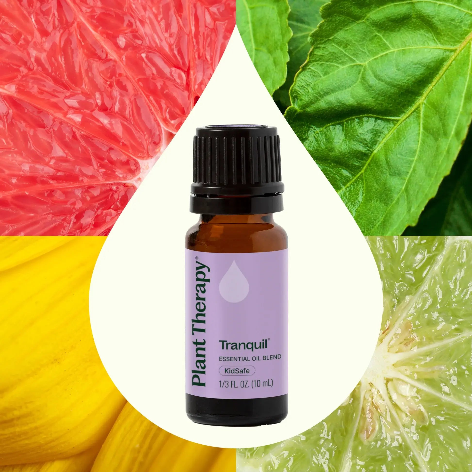Tranquil Essential Oil Blend 10 mL