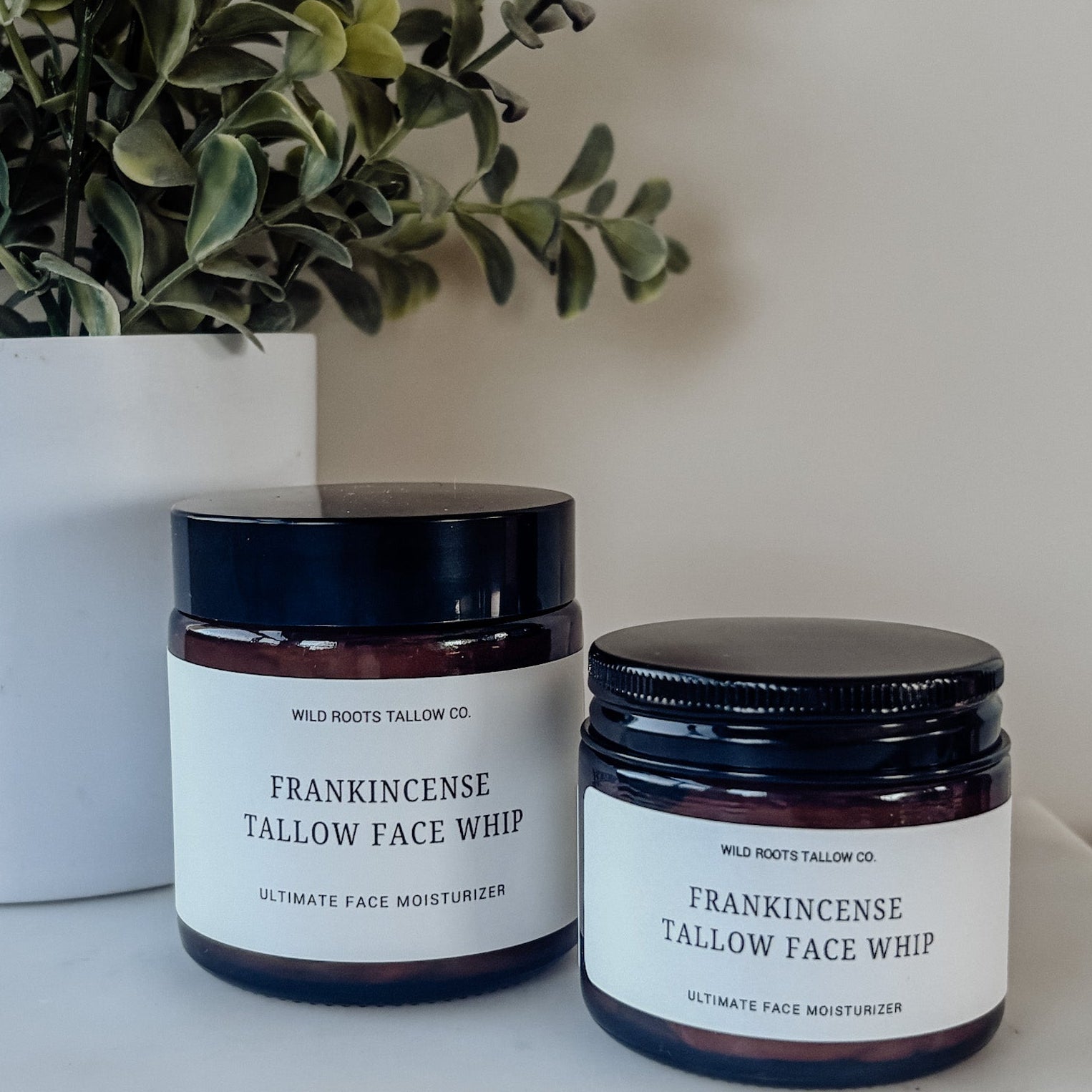 Two jars of Frankincense Tallow Face Whip on a white surface with a plant in the background.