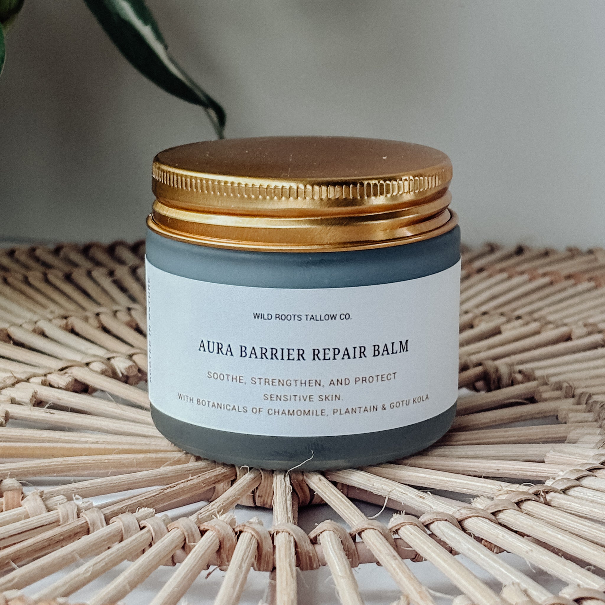 Aura Barrier Repair Balm