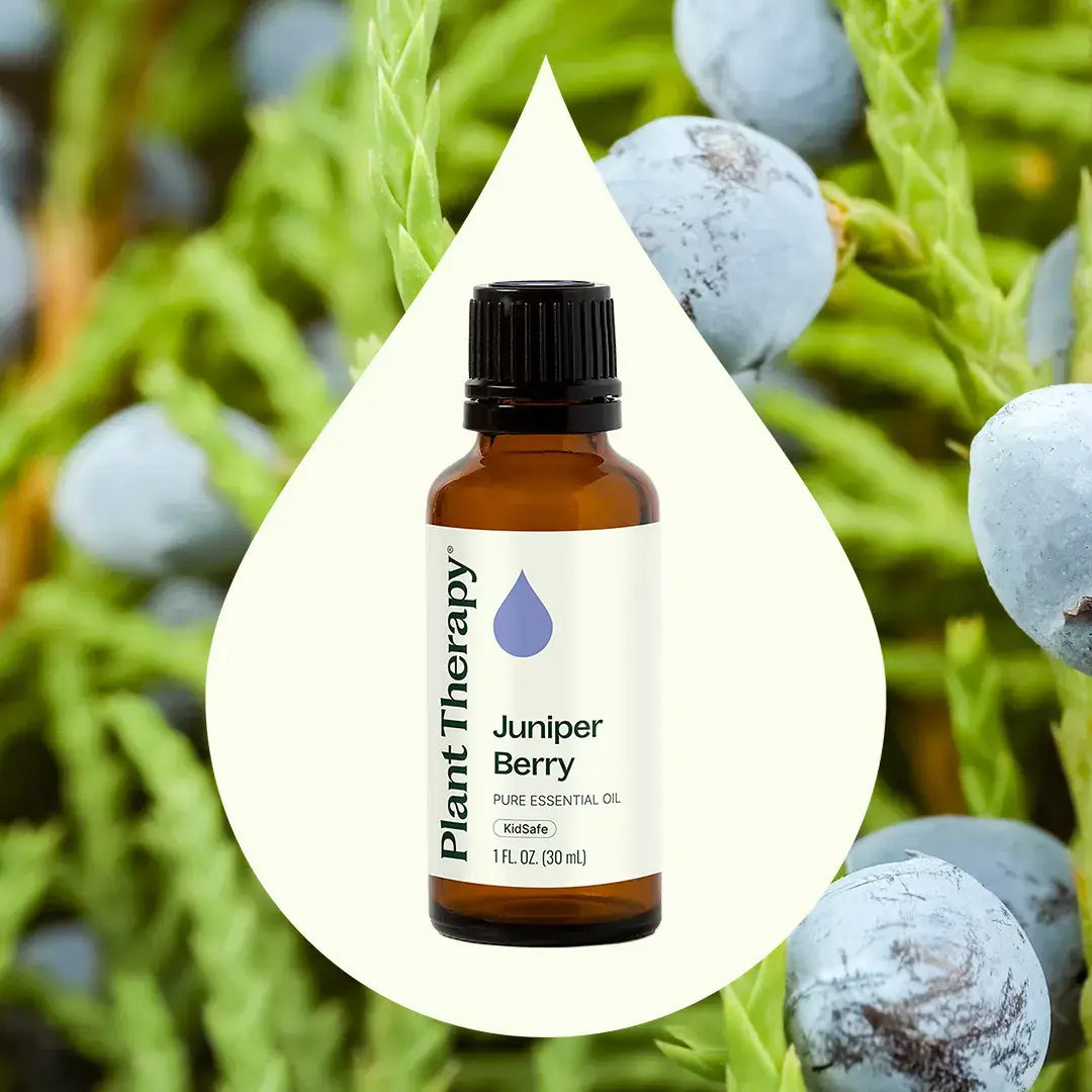 Juniper Berry Essential Oil 30 mL