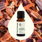 Australian Sandalwood Essential Oil 10 mL