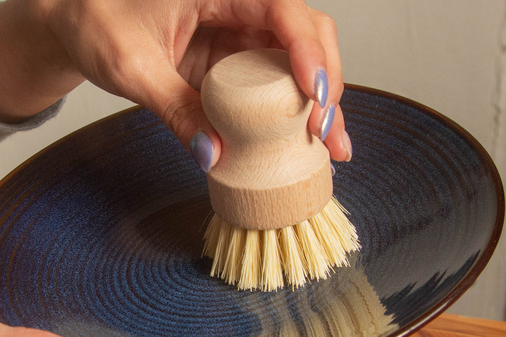 CASA AGAVE® Dish Brush White Teakwood - No Tox Life
