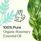 Organic Rosemary 1,8-Cineole Essential Oil 100 mL