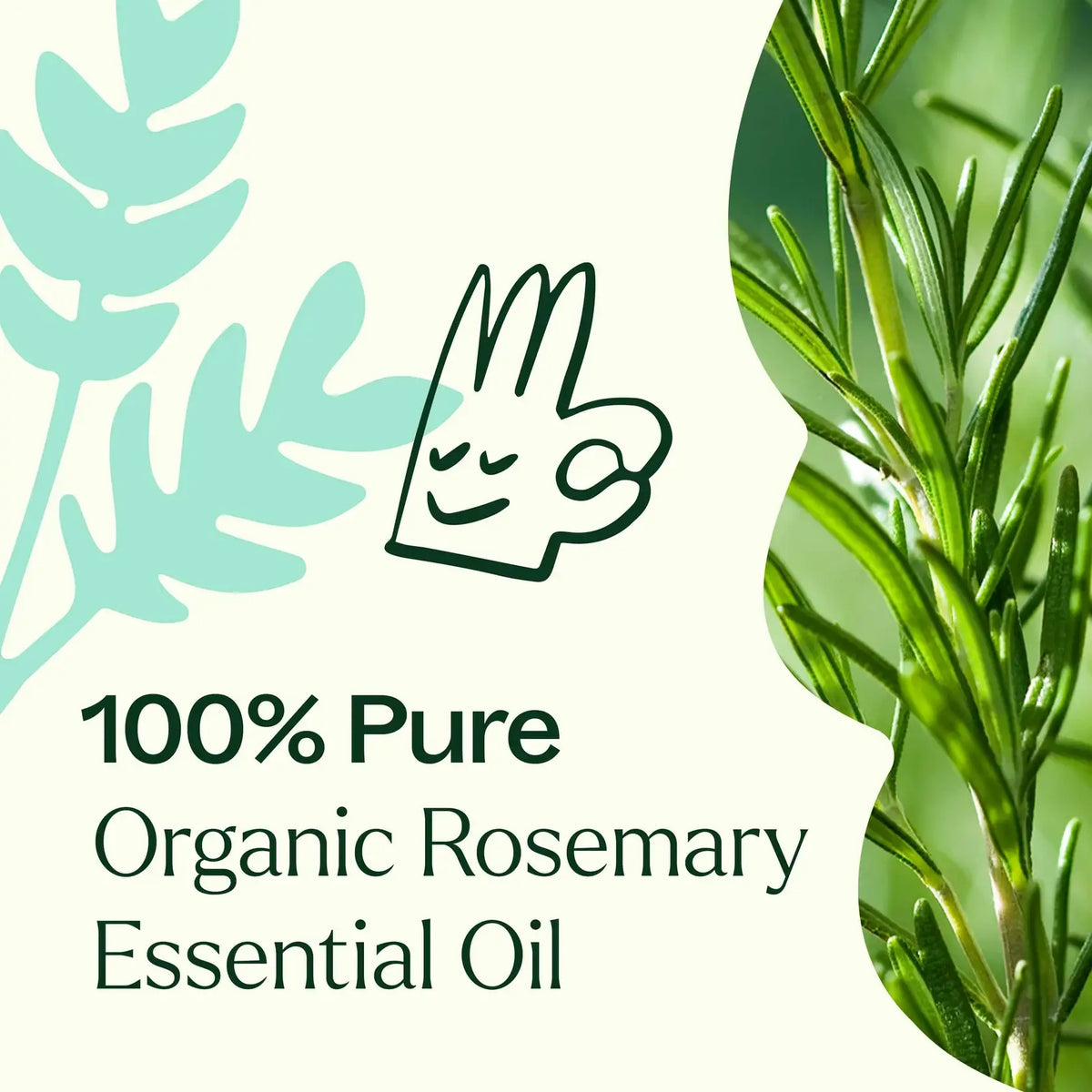 Organic Rosemary 1,8-Cineole Essential Oil 100 mL