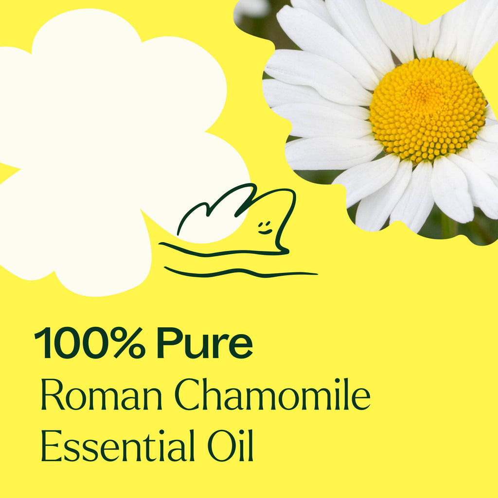 Roman Chamomile Essential Oil 10 mL