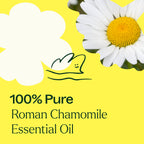 Roman Chamomile Essential Oil 10 mL