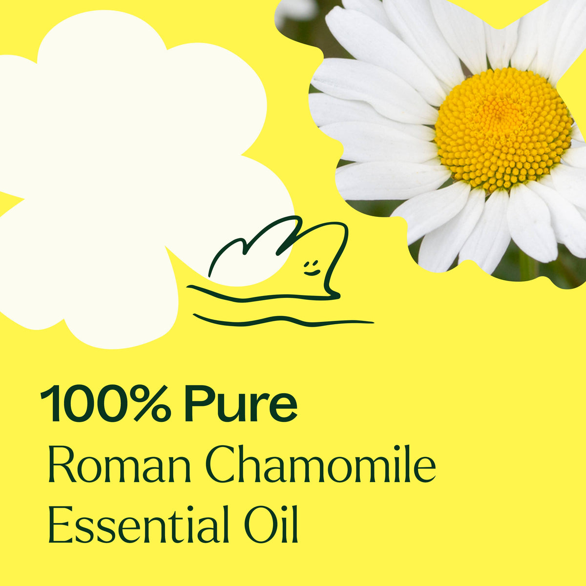 Roman Chamomile Essential Oil 10 mL