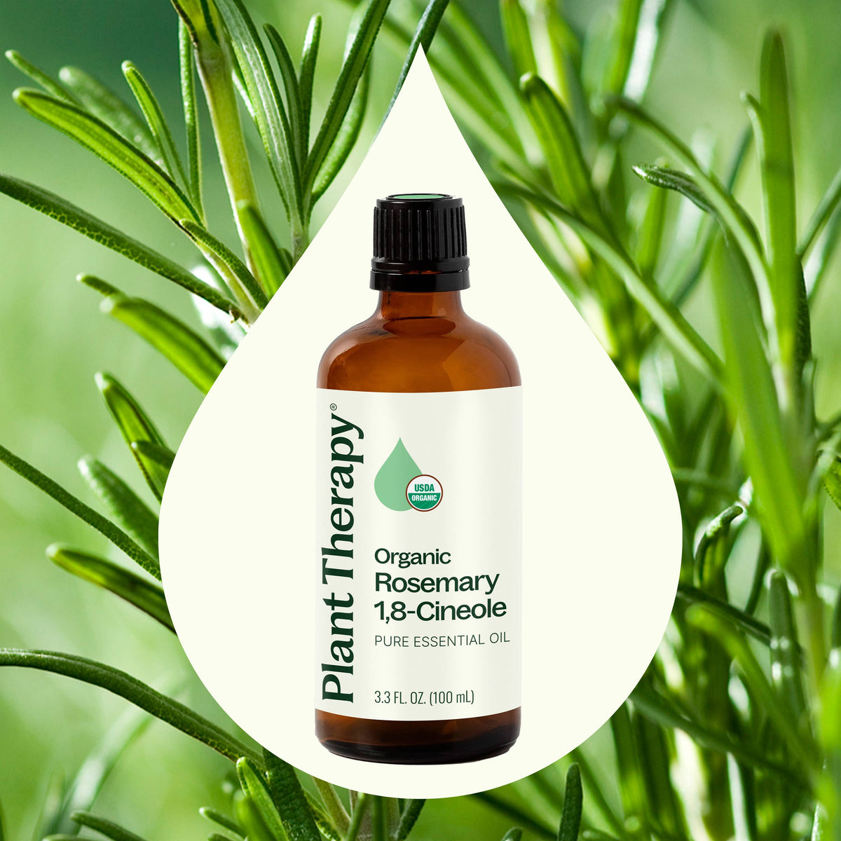 Organic Rosemary 1,8-Cineole Essential Oil 100 mL