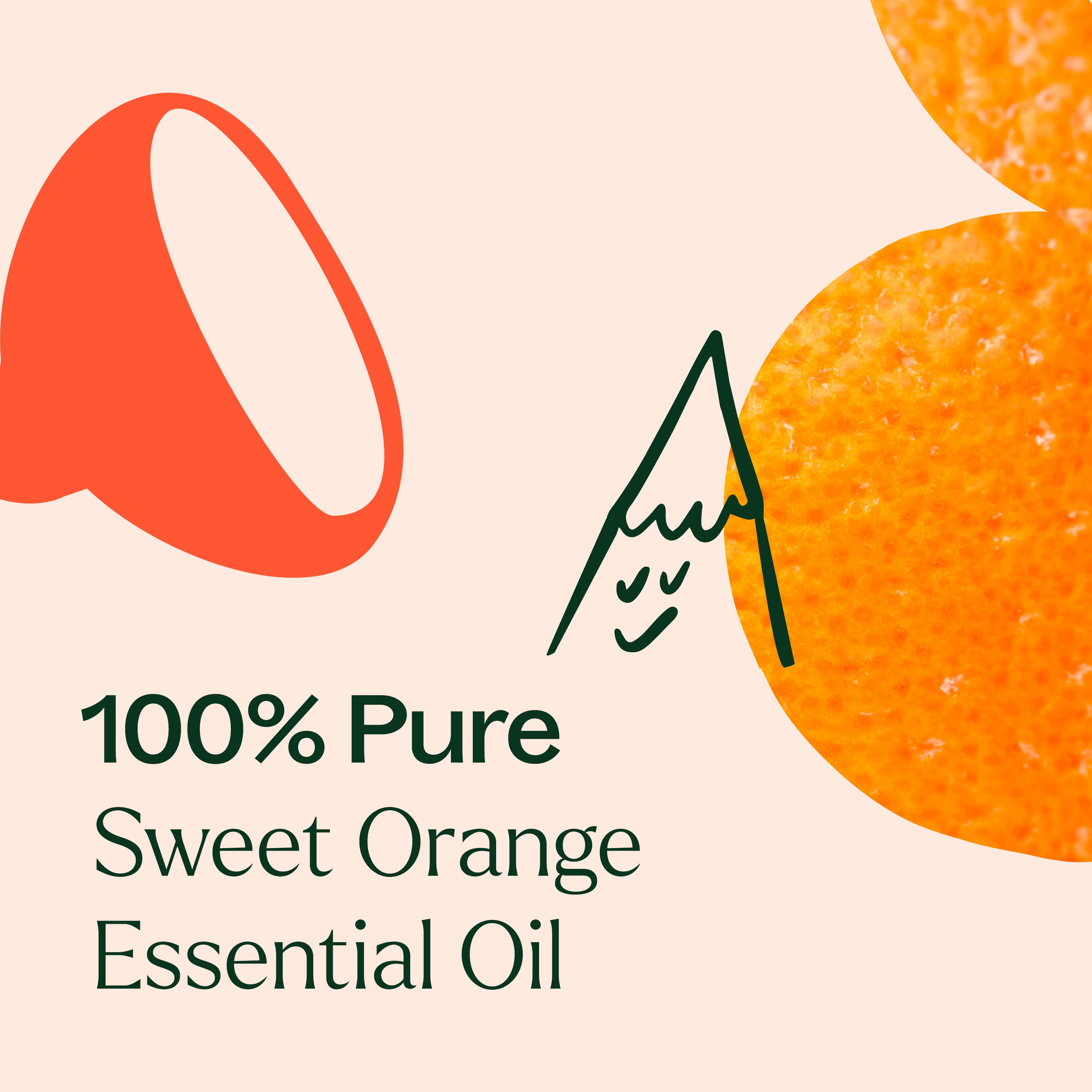 Organic Sweet Orange Essential Oil 100 mL